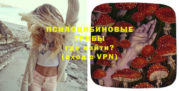 PSILOCYBIN Лихославль