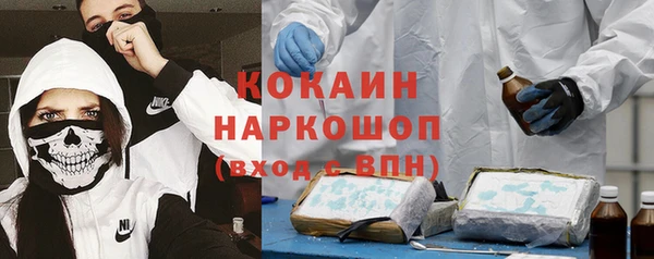 хмурый Липки