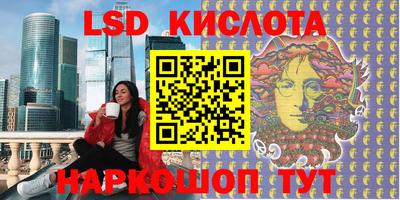 шишки Аргун