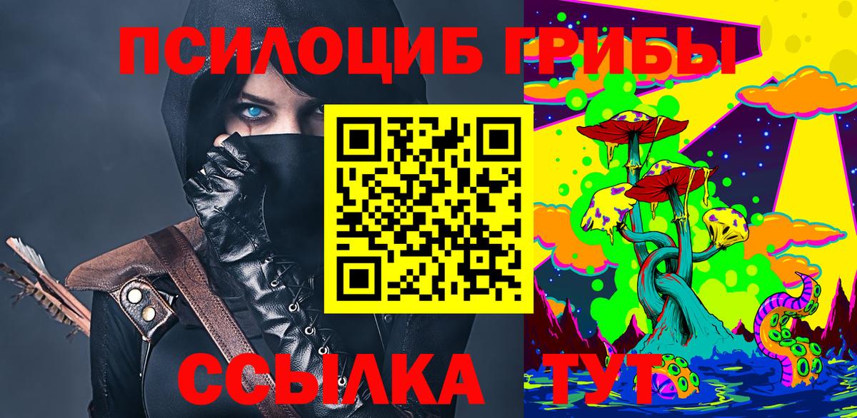 Галлюциногенные грибы GOLDEN TEACHER  Малгобек  купить наркотики цена  Псилоцибиновые грибы GOLDEN TEACHER 