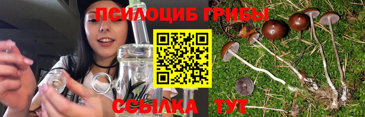 Псилоцибиновые грибы прущие грибы Малгобек