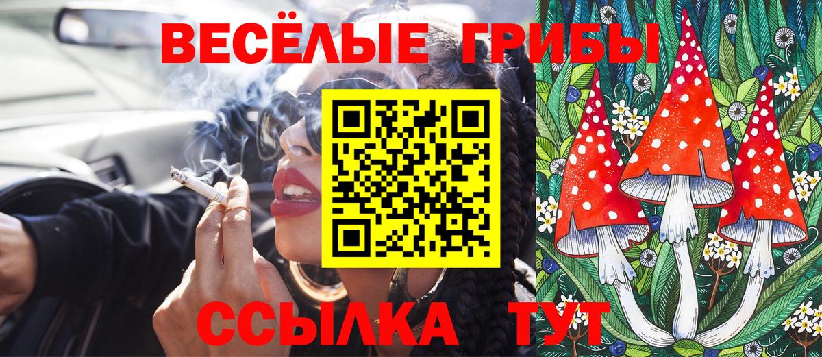Галлюциногенные грибы Psilocybine cubensis  Псилоцибиновые грибы Psilocybine cubensis  Вход с VPN  Малгобек 